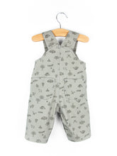 Load image into Gallery viewer, Carhartt Rare Happy Camper Dungarees - Age 3 months
