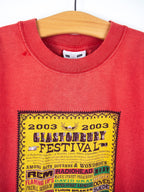 Glastonbury 2003 T-Shirt - Age 3-4 years