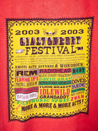 Glastonbury 2003 T-Shirt - Age 3-4 years