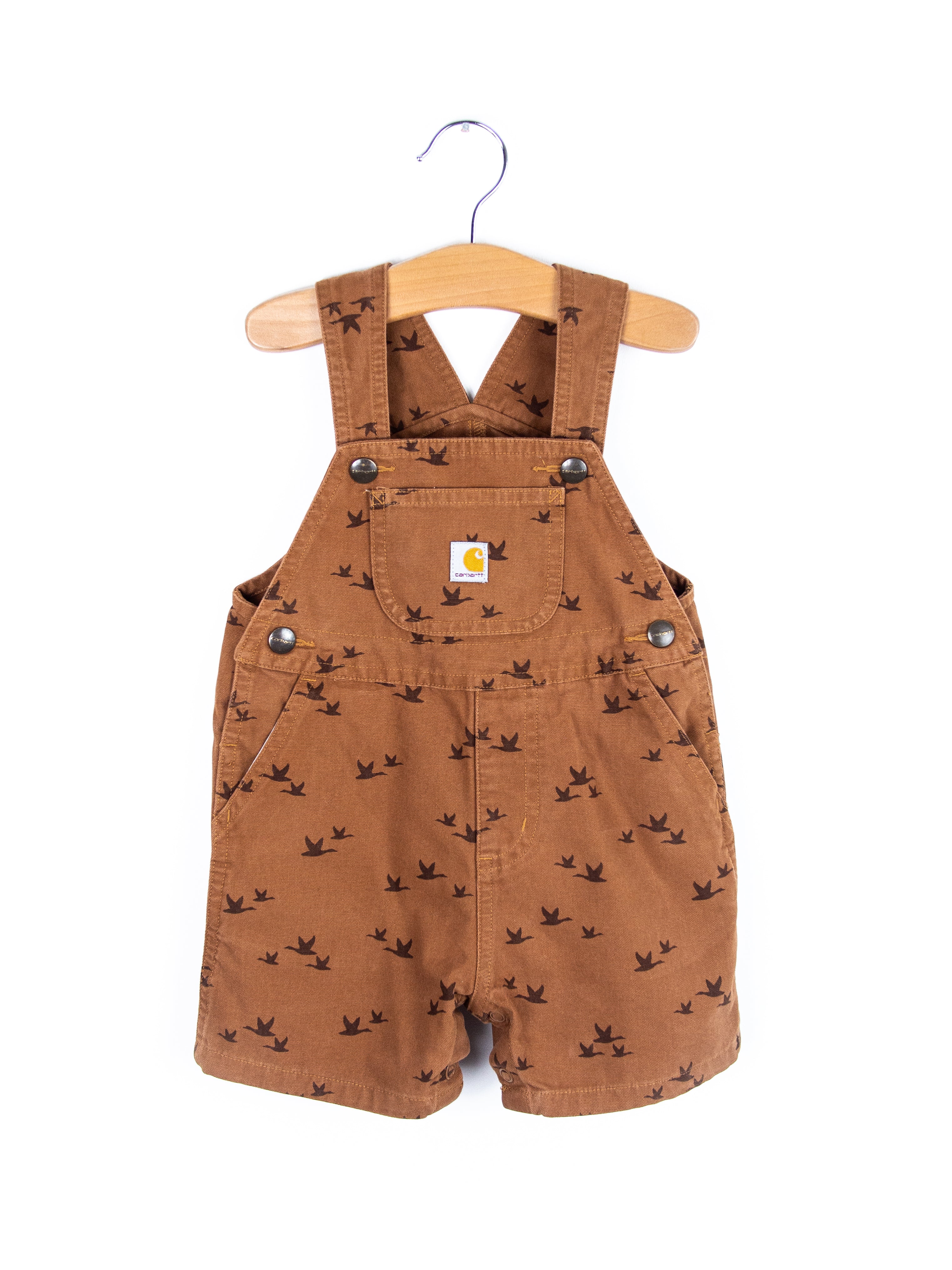 Carhartt Rare Bird Print Dungaree Shorties - Age 12 months