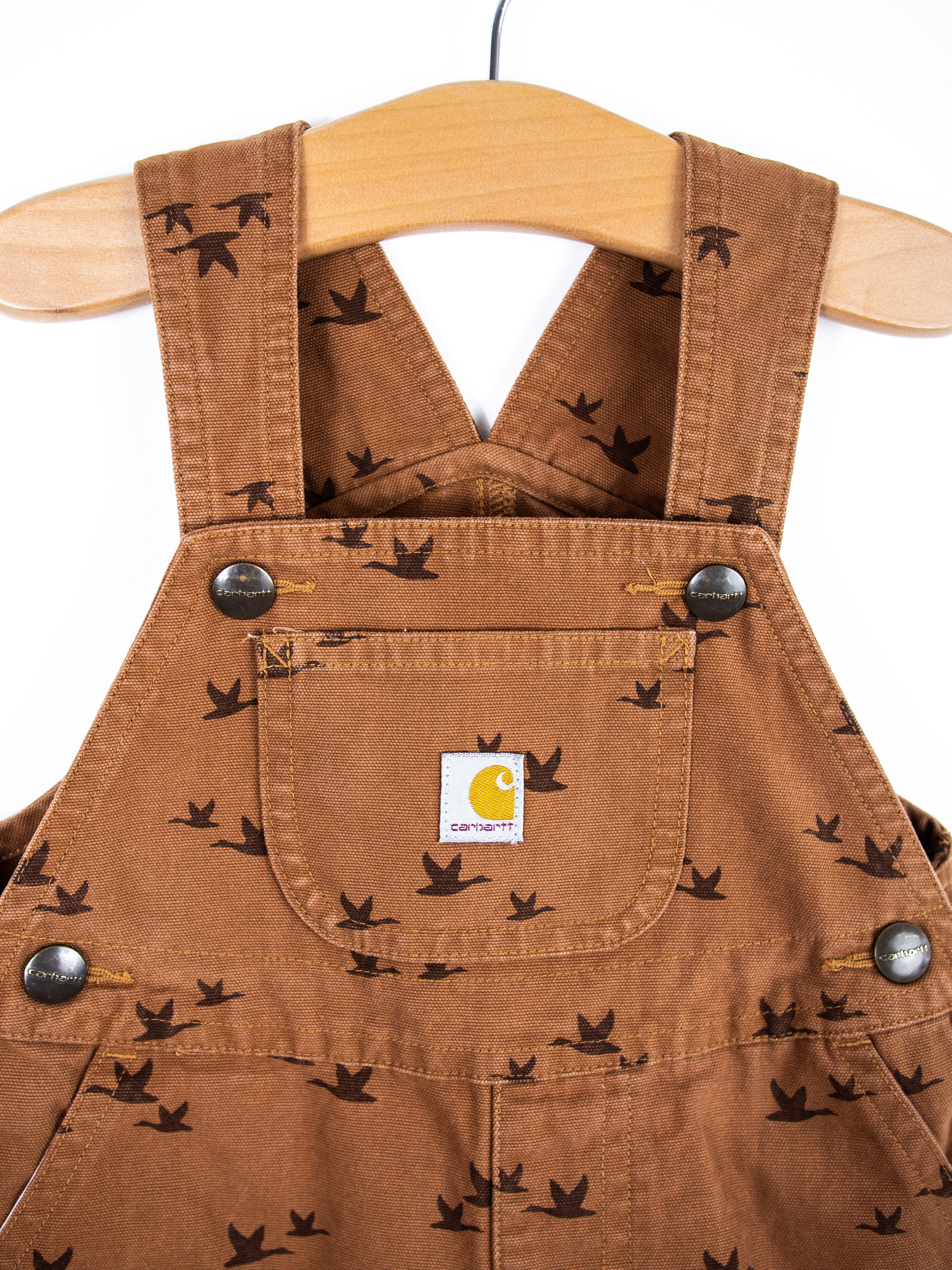 Carhartt Rare Bird Print Dungaree Shorties - Age 12 months