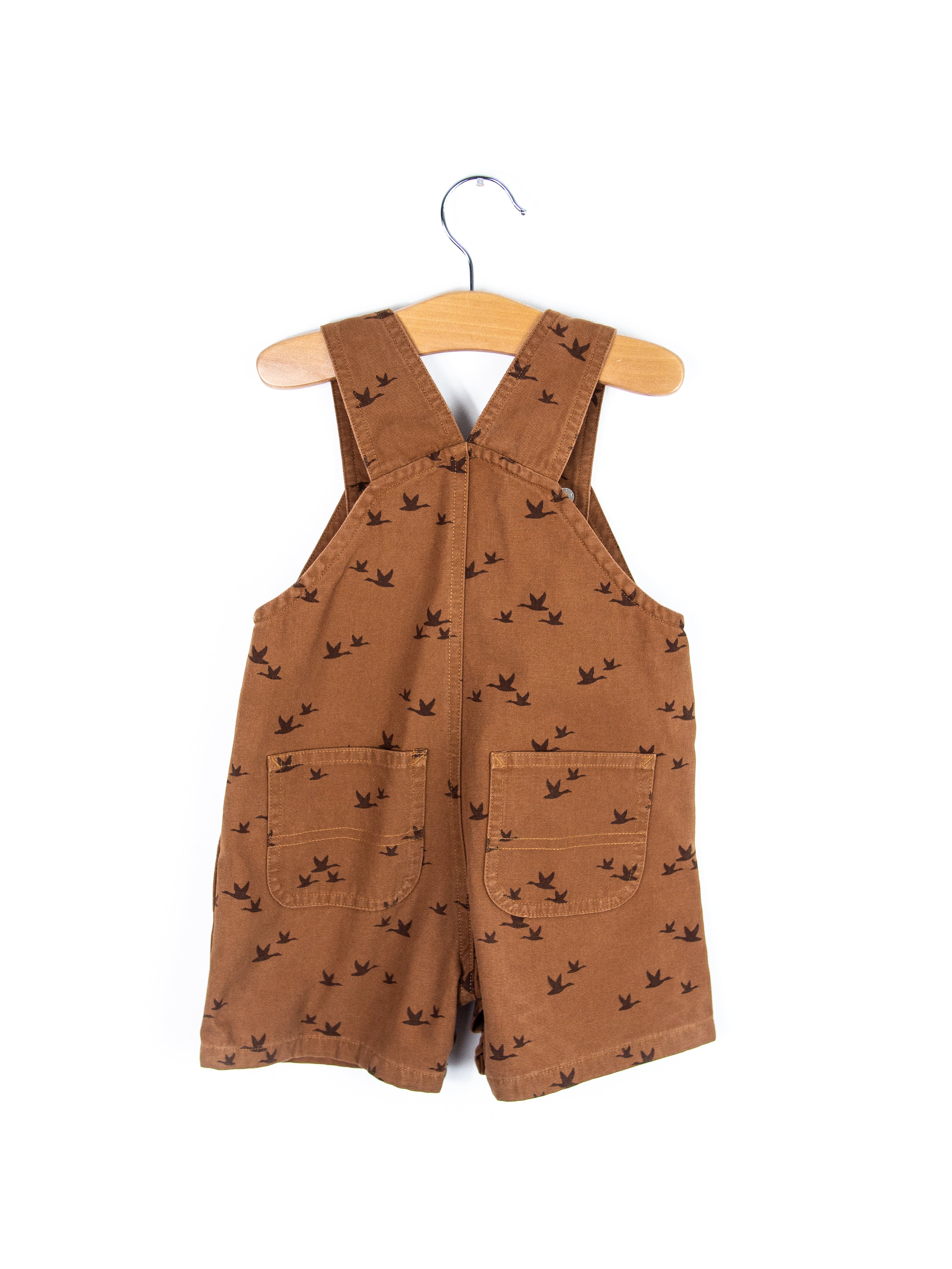 Carhartt Rare Bird Print Dungaree Shorties - Age 12 months