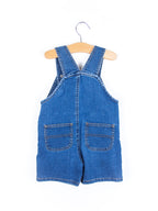 Carhartt Denim Dungaree Shorties