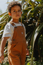Carhartt Brown Canvas Dungarees